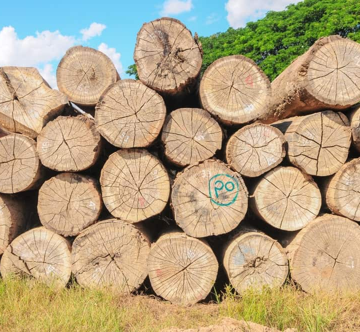 Types of Usual Teak Wood