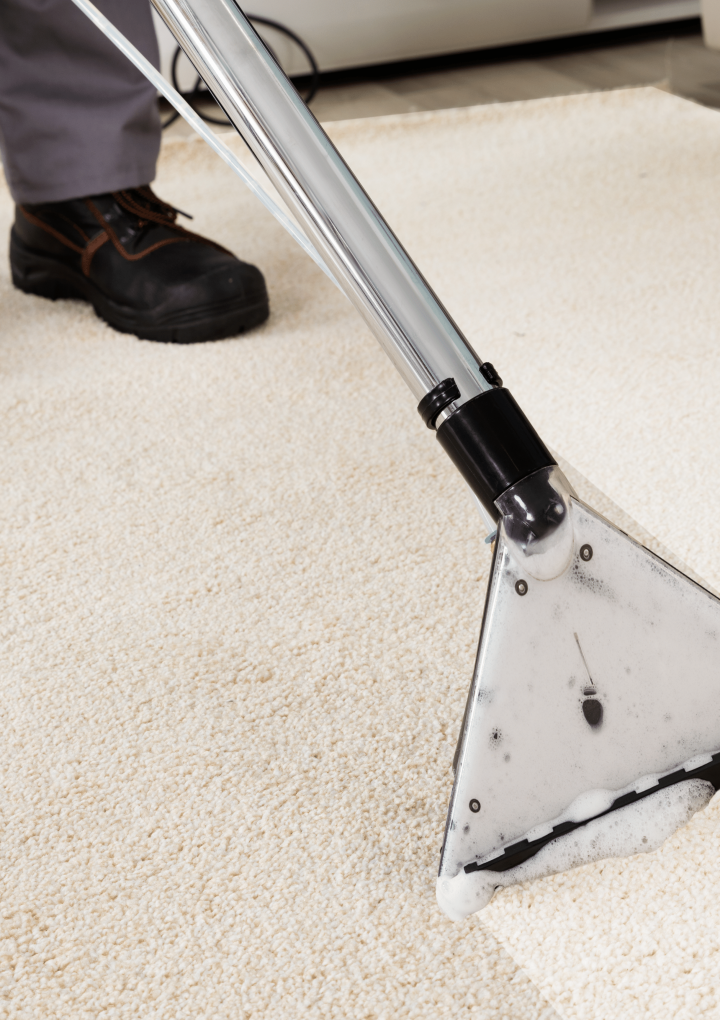 8 Types of Professional Carpet Cleaning Services