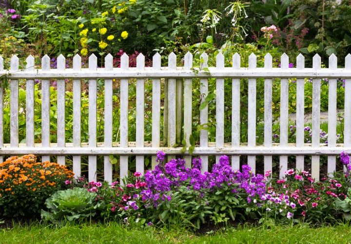 Wooden Fence for Garden: How to do it?