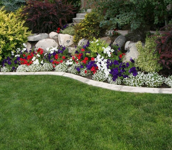 Top 5 Ideas for Backyard Landscaping on a Budget