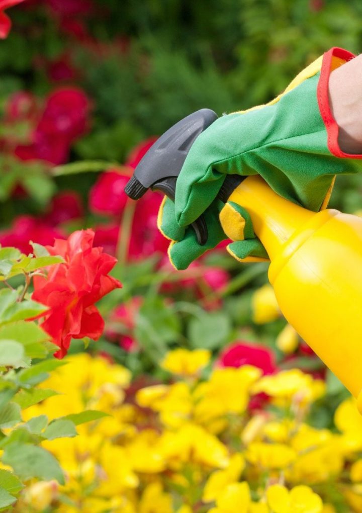 Using Pesticides Safely Around the Home and Garden