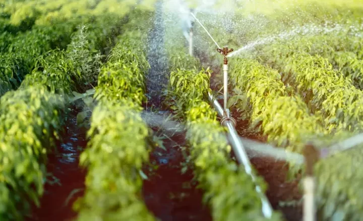 Benefits of Upgrading to a Smart Irrigation System