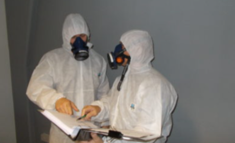 Professional Termite Removal Techniques Ensuring Long-Lasting Protection