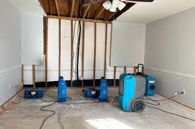 Three ways to shop for drying equipment in Vaughan